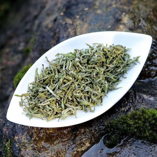 了解六大茶類基礎版