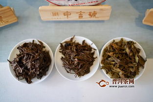 中吉號(hào)聯(lián)合茶業(yè)復(fù)興230期復(fù)興沙龍,麻黑為什么重要
